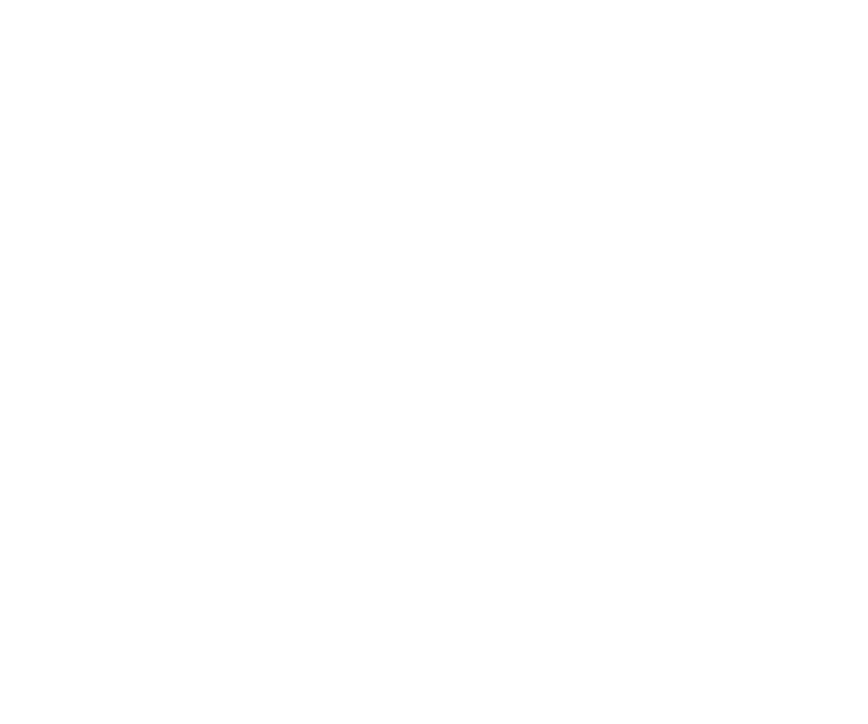 The Union Summit